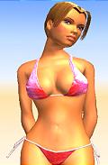 Summer Heat Beach Volleyball - PS2 Artwork