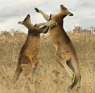 Australia Backs Domestic Games Industry With $20Million Australia Backs Domestic Games Industry With $20Million