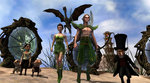 Related Images: Focus Home Interactive and Spiders Unveil "Faery: Legends of Avalon" News image