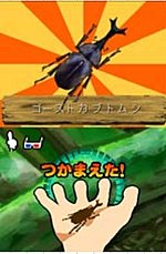 Beetle King - DS/DSi Screen