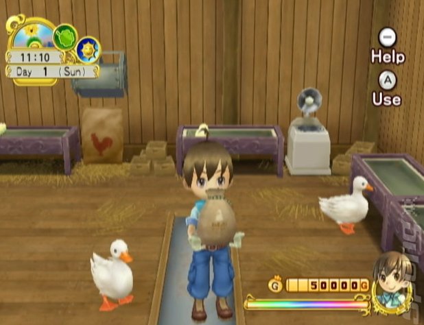 Harvest Moon: Tree of Tranquility - Wii Screen
