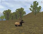 Rocky Mountain Trophy Hunter 3 - PC Screen