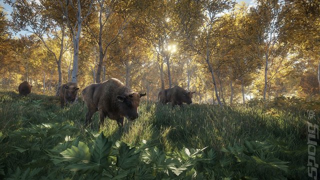 theHunter: Call of the Wild - PC Screen