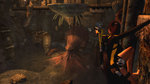 Related Images: E3: More Tomb Raider: Underworld Wetness News image