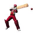 Brian Lara International Cricket 2005 - Xbox Artwork