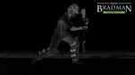 Don Bradman Cricket 14 - Xbox 360 Artwork