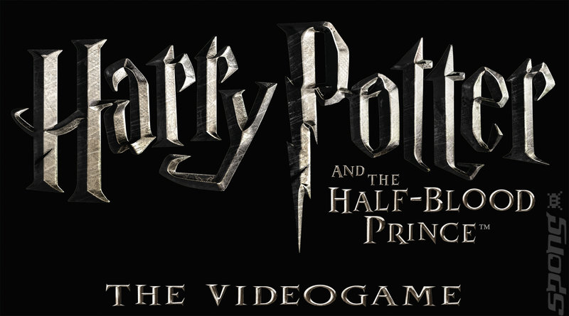 Harry Potter and the Half-Blood Prince - PS2 Artwork