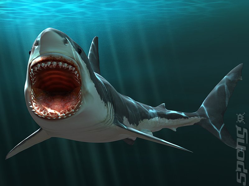 Jaws Unleashed - PC Artwork