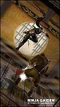 Ninja Gaiden - Xbox Artwork