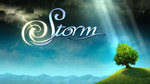 Storm - PS3 Artwork