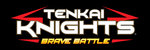 Tenkai Knights: Brave Battle - 3DS/2DS Artwork
