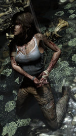Tomb Raider - PS3 Artwork