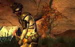 Fallout: New Vegas Honest Hearts DLC Unveiled News image