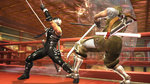 Related Images: Ninja Gaiden 2 in Video Blood Shower News image
