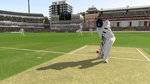 Ashes Cricket 2013 - Wii U Screen