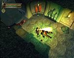 Baldur's Gate : Dark Alliance - PS2 Screen