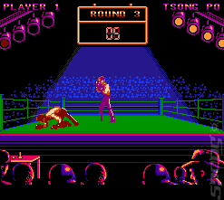 Best of the Best: Championship Karate - NES Screen