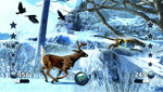 Cabela's Big Game Hunter 2012 - PS3 Screen