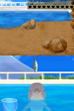 My Pet Dolphin - DS/DSi Screen