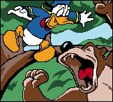 Donald Duck Quack Attack - Game Boy Color Screen