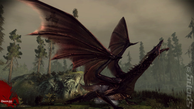 Dragon Age Origins - PS3 Screen
