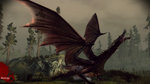 Dragon Age Origins - Xbox 360 Screen