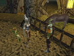 Dungeon Siege: Deluxe Edition - PC Screen