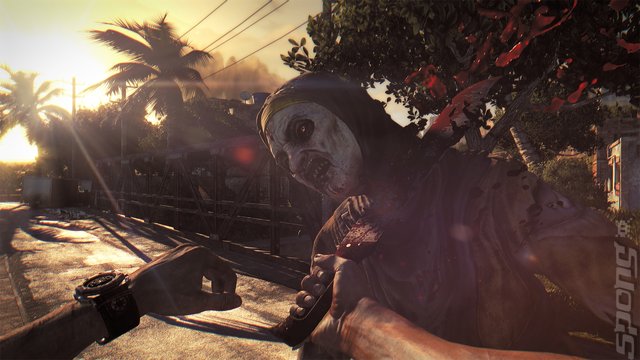 Dying Light - PS4 Screen