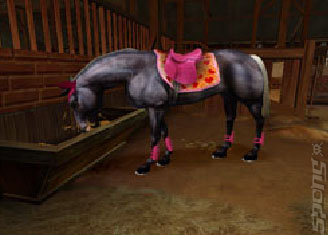 Ellen Whitaker's Horse Life - Wii Screen