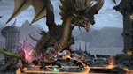 Final Fantasy XIV: A Realm Reborn - PS3 Screen