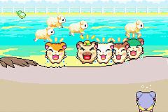 Hamtaro: Rainbow Rescue - GBA Screen