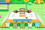 Hamtaro: Rainbow Rescue - GBA Screen