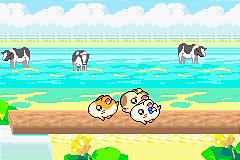 Hamtaro: Rainbow Rescue - GBA Screen