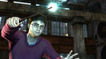 Harry Potter and the Deathly Hallows: Part 1 - PC Screen