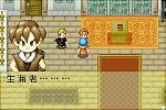Harvest Moon: Friends of Mineral Town - GBA Screen