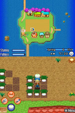 Harvest Moon: Sunshine Islands - DS/DSi Screen