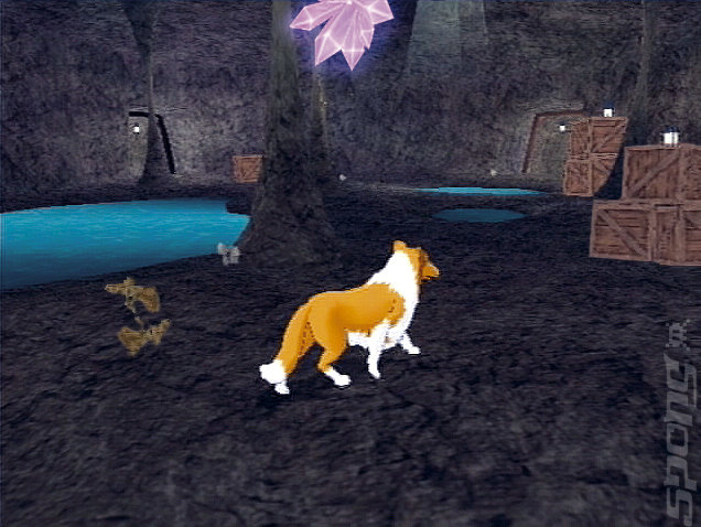 Lassie - PS2 Screen