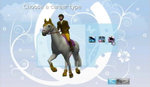 Mary King's Riding School 2 - Wii Screen