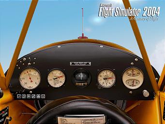 Flight Sim 2004 screens News image
