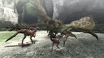 Related Images: Monster Hunter Tri Hitting Europe Early 2010 News image