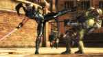 Ninja Gaiden Sigma - PS3 Screen