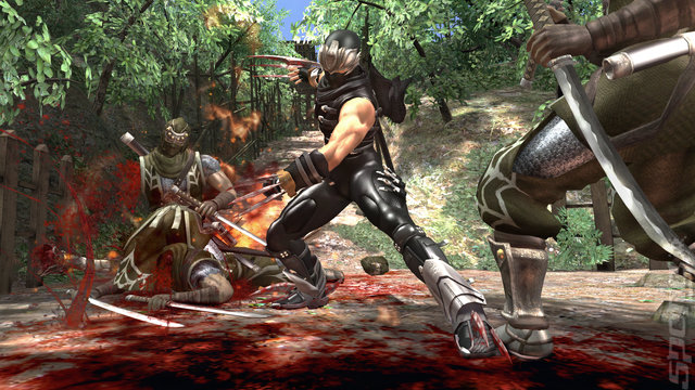 Ninja Gaiden 2 Demo Sliding In News image