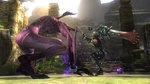 Related Images: Ninja Gaiden Too Tiring for Motion Control News image