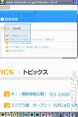 Nintendo DS Browser - DS/DSi Screen