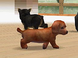 Nintendogs - DS/DSi Screen