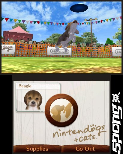 Nintendogs + Cats - 3DS/2DS Screen