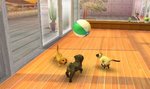 Nintendogs + Cats - 3DS/2DS Screen