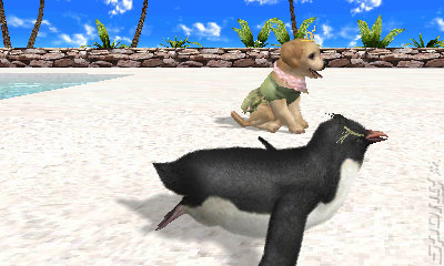 Petz: Beach - 3DS/2DS Screen