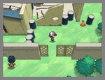 Pokémon Black Version - DS/DSi Screen