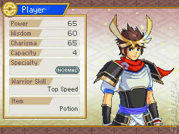 Pok�mon Conquest - DS/DSi Screen
